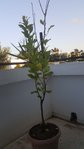 20180529_185255-1024x1820.jpg