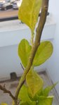 20180529_185342-768x1365.jpg