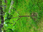 20180530_122423-ConvertImage.jpg