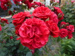 DSCN0069.JPG