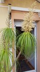 Resized_20180525_192212.jpg