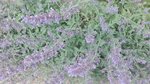 IMG_20180526_165527.jpg