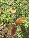 IMG_0629.JPG