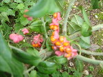 DSC00004.JPG