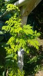 compressed_34708959420180603_160452.jpg