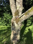 IMG_2248.JPG