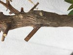 IMG_1144.jpeg
