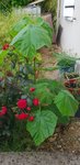 20180604_202555_resized.jpg