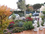 DSCN0036.JPG
