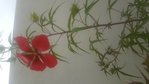 20180607-110250.jpg