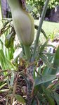IMG-20180610-WA0007.jpg