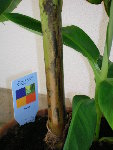 DSCN2595.JPG