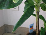 DSCN2596.JPG