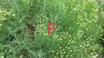 CF44956F-7765-4D2B-B02F-7A2536BDE294.jpeg