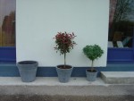 mes trois pots
