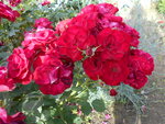 DSCN0100.JPG