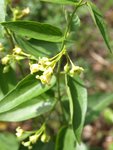 J P6132543 1.JPG