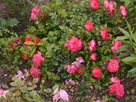 DSCN0046.JPG