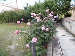 DSCN0052.JPG