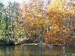 DSCN3392automne.jpg