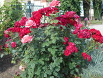 DSCN0099.JPG