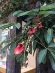 F72C6CAA-B796-4CCF-B716-6FC566132614.jpeg