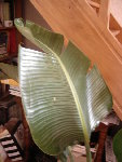 DSC05747.JPG