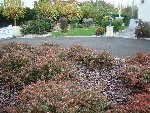 DSC00236.JPG