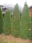 IMG_0037.JPG