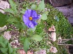 000_0702 [50%] [50%].jpg