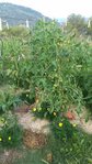 20180618_080050.jpg