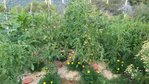 20180618_080057.jpg