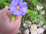 000_0703 [50%] [50%].jpg