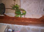 000_0772 [50%] [50%].jpg