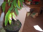 000_0771 [50%] [50%].jpg