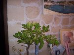 000_0767 [50%] [50%].jpg