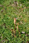 DSC_2901 1.jpg