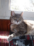 lulu 009.JPG