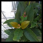 rps20180625_091108.jpg