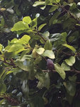 image2.jpg