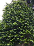 image3.jpg