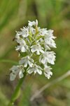 DSC_4421 1.jpg