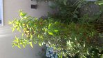 IMG_20180629_164607-ConvertImage.jpg