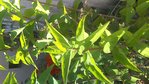 IMG_20180629_164435-ConvertImage.jpg