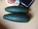 Courgettes-3.JPG