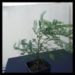 rps20180701_190259.jpg