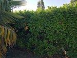 IMG_20180630_191757.jpg
