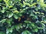 IMG_20180630_191833.jpg