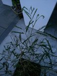 rps20180701_223142.jpg