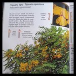 rps20180702_105000.jpg